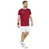 Kép 3/3 - Tecnifibre Team Mesh Cardinal (piros) férfi pólóing