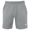 Kép 1/3 - Tecnifibre Team Short Silver (szürke) rövidnadrág 