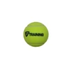 Kép 2/3 - Tecnifibre Training teniszlabda