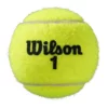 Kép 3/3 - Wilson Roland Garros Allcourt teniszlabda (1 db) másik oldala
